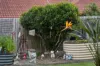 3 Peridot Crescent, Mango Hill, Qld 4509-Image