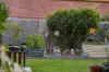 3 Peridot Crescent, Mango Hill, Qld 4509-Image