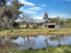 3 Pestells Lane, Young, NSW 2594