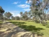 3 Pestells Lane, Young, NSW 2594-Image
