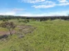 3 Pestells Lane, Young, NSW 2594-Image
