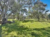 3 Pestells Lane, Young, NSW 2594-Image