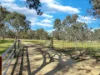 3 Pestells Lane, Young, NSW 2594-Image