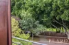 3 Plumosa Mews, Duncraig, WA 6023-Image