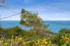 3 Podargus Parade, Peregian Beach, Qld 4573-Image