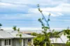 3 Positano Place, Indented Head, Vic 3223-Image