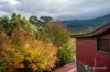 3 Pythias Court, Millgrove, Vic 3799-Image
