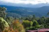 3 Pythias Court, Millgrove, Vic 3799-Image