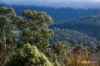 3 Pythias Court, Millgrove, Vic 3799-Image