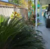 3 Queen Elizabeth Drive, Dysart, Qld 4745-Image