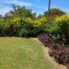 3 Queen Elizabeth Drive, Dysart, Qld 4745-Image