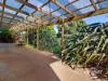 3 Ramsden Street, Somerset, Tas 7322-Image