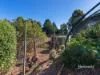 3 Ramsden Street, Somerset, Tas 7322-Image