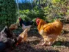 3 Ramsden Street, Somerset, Tas 7322-Image