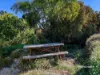 3 Ramsden Street, Somerset, Tas 7322-Image