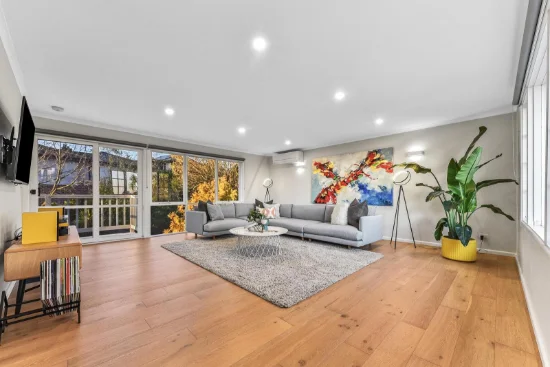 3 Randall Court, Mount Waverley, Vic 3149-Image