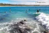 3 River Oak Crescent, Scotts Head, NSW 2447-Image