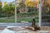 3 Roehampton Crescent, Mount Eliza, Vic 3930-Image