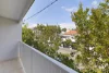 3 Roseby Street, Leichhardt, NSW 2040-Image