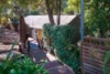 3 Rubie Crescent, East Gosford, NSW 2250-Image