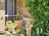 3 Safrano Place, Coffs Harbour, NSW 2450-Image