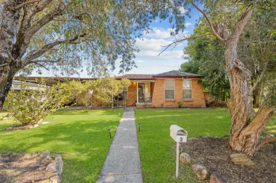 3 Salamander Place, Raymond Terrace, NSW 2324
