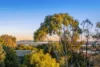3 Saltaire Court, Ocean Grove, Vic 3226-Image