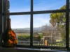 3 Saundridge Road, Cressy, Tas 7302-Image