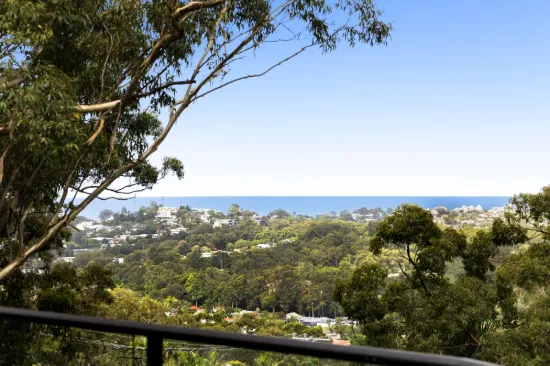 3 Shandon Court, Buderim, Qld 4556