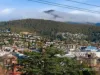3 Shoobridge Street, Glebe, Tas 7000-Image
