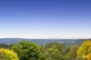3 Skipton Road, Olinda, Vic 3788-Image