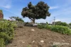 3 Spitfarm Road, Opossum Bay, Tas 7023-Image