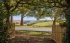 3 Station Road, Gembrook, Vic 3783-Image