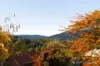 3 Stephens Road, Healesville, Vic 3777-Image