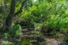 3 Sugar Lane, Cannon Valley, Qld 4800-Image