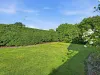 3 Summer Street, Orange, NSW 2800-Image