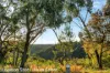 3 Talbot Way, Berowra, NSW 2081-Image