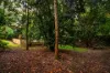 3 Tamarind Close, Richmond Hill, NSW 2480-Image