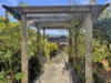 3 Telemon Street, St Helens, Tas 7216-Image