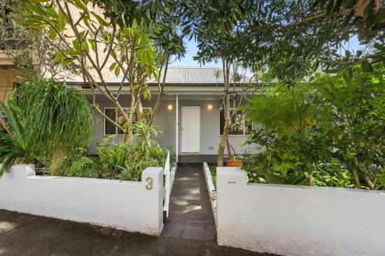3 Terry Street, Balmain, NSW 2041
