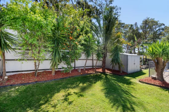3 The Domain, Nerang, Qld 4211-Image