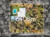3 The Grove, Thornlands, Qld 4164-Image