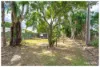 3 Thornton Street, Park Avenue, Qld 4701-Image