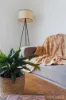 3 Token Street, North Wonthaggi, Vic 3995-Image