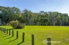 3 Twen Lane, Wattle Grove, WA 6107-Image