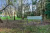 3 Vera Place, Padstow Heights, NSW 2211-Image