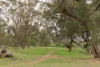 3 Verco Street, Hackett, ACT 2602-Image