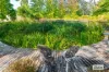 3 Victor Close, Taree, NSW 2430-Image