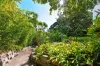 3 Victoria Road, Bellevue Hill, NSW 2023-Image