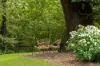 3 Vincent Street North, Daylesford, Vic 3460-Image